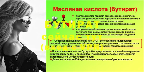 мяу мяу мука Белокуриха